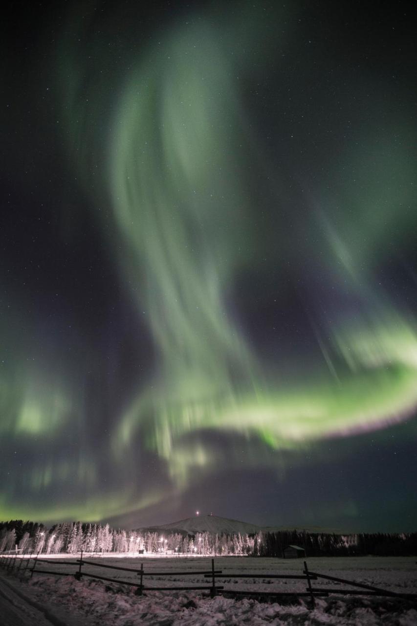 Aurora Estate Hotell Ylläsjärvi Exteriör bild